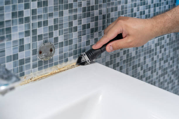Best Emergency Mold Removal  in Wchester, IN